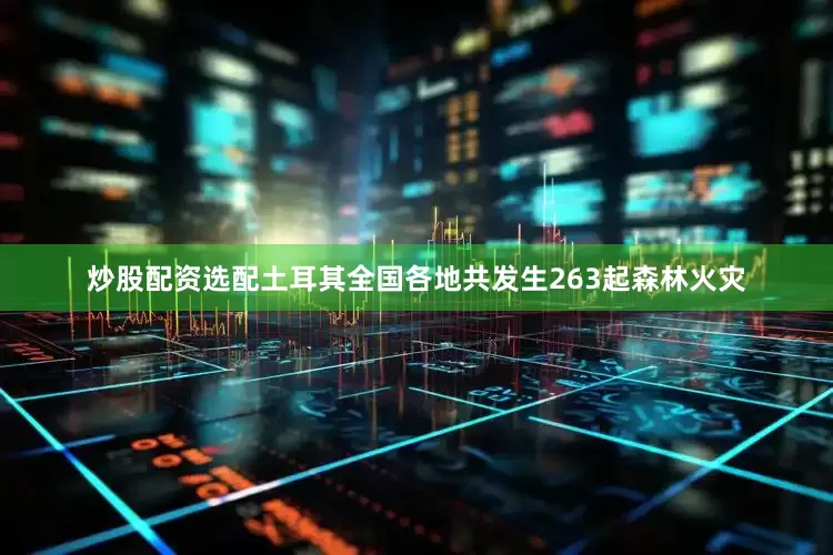 炒股配资选配土耳其全国各地共发生263起森林火灾