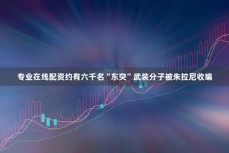 专业在线配资约有六千名“东突”武装分子被朱拉尼收编